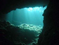 The Cave by Joe Edwards 